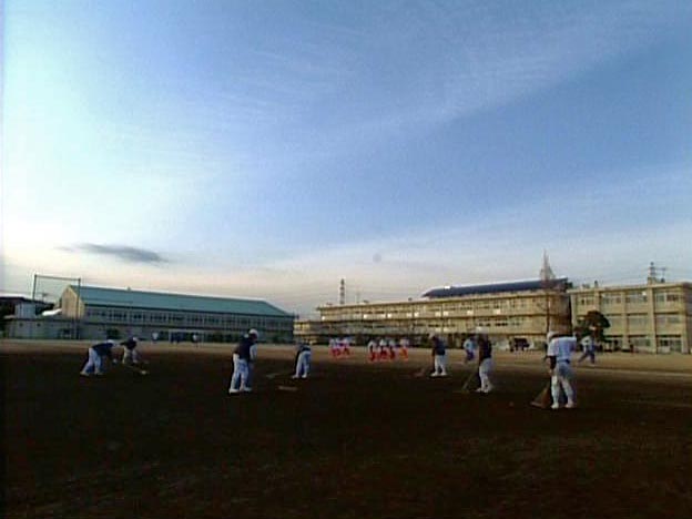 Grooming the field  1