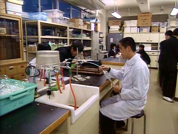化学部の活動