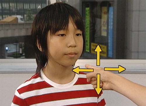 あっちむいてホイ!の説明画像8