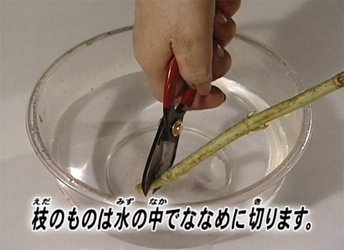 Ikebana (Flower Arrangement) Description Image 6