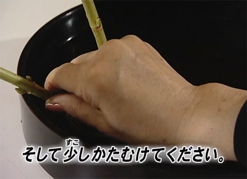Ikebana (Flower Arrangement) Description Image 8