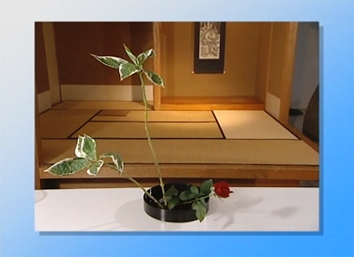 Ikebana (Flower Arrangement) Description Image 9